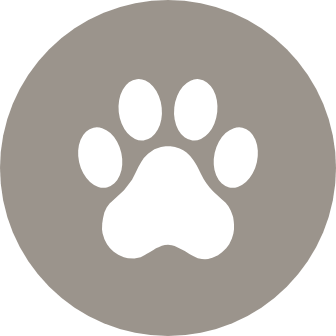 Encourage Fido to make friends at the dog park
